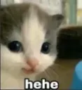 hehe