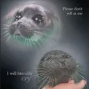sad seal