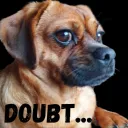 Doubt