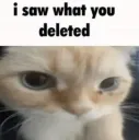 saw what you deleted