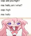 high hello