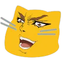 Dio cat