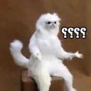 شبيكككككككككككك