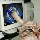 Internet pet