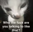 Whotfuspeakingto