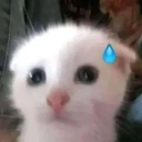 nervous ggleths