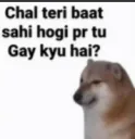 DH_SahiBaatHai .gg/dhop