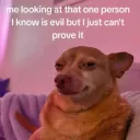 I Know U Fuckin Lyin