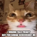 Talk_freaky_Join .gg/catcafe