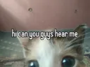 hi