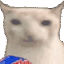cat eating