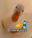 drink water