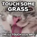 tharki billa Join .gg/catcafe