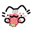 Cat Strawberry