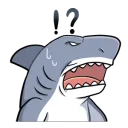 Shark Confused
