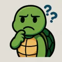 Confused Turtle