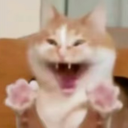 Catree