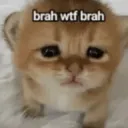 brah wtf brah
