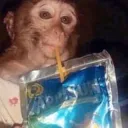 capri_sun