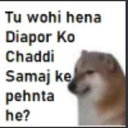 chaddi gghasrat
