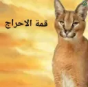 kma a7rag