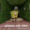 pls say sike