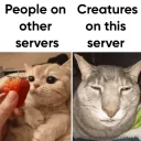 catcafe_Join .gg/catcafe