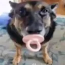 Olá 