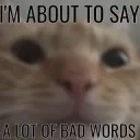 bad words cat