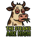 OMP_TheSteaksAreHigh_Cow