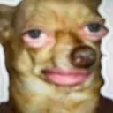 Pls