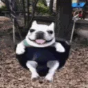 Vivi swing  gg/spoil