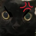 grrrrrrr