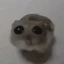 uwu