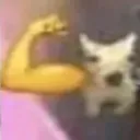 Bracito