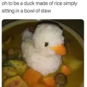 duckstew duckstew