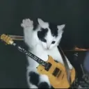 الفنان الطرش اللي مبيهزرش 