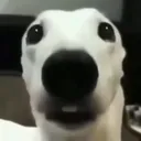 Aïe, aïe, aïe
