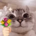 cat flowers