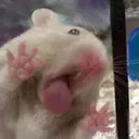 licky_lick__gg_astoriahangout