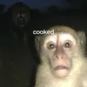 Cooked
