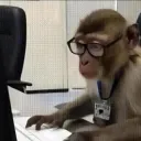 MonkeTyping