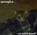 Проснулся...