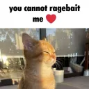 cant ragebait me
