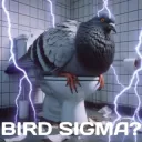bird sigma