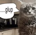 nervy cat (.gg/lupine)
