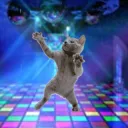 DancingCat