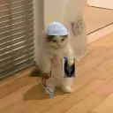 Halal cat