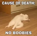 no boobies