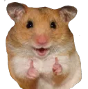 NiceHamster